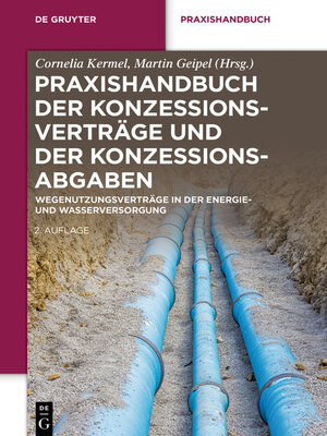 cover image of Praxishandbuch der Konzessionsverträge und der Konzessionsabgaben
